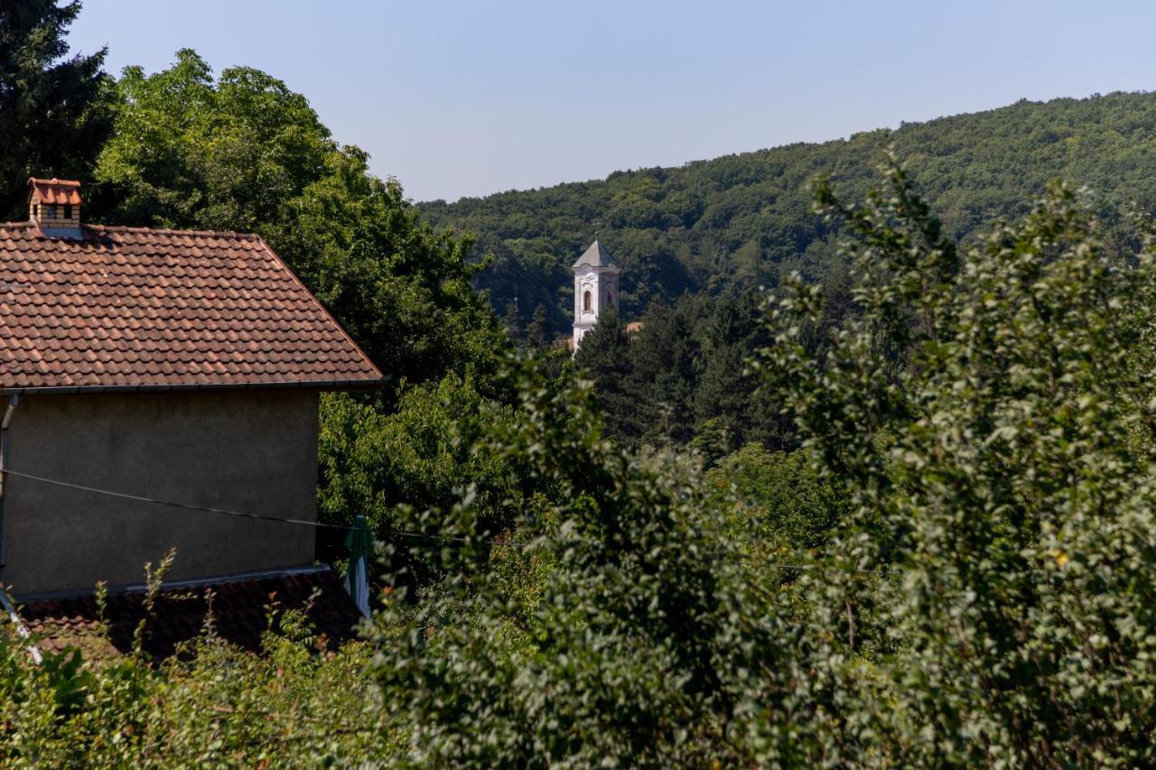 Mi Casa 2 Vila Vrdnik Exterior foto